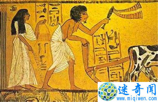 古埃及五大科学成就 至今仍影响着我们