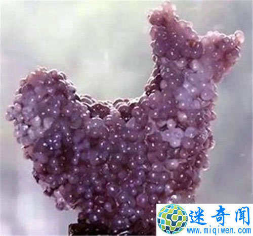 震惊全球!世界十大最诡异人脸石头大曝光