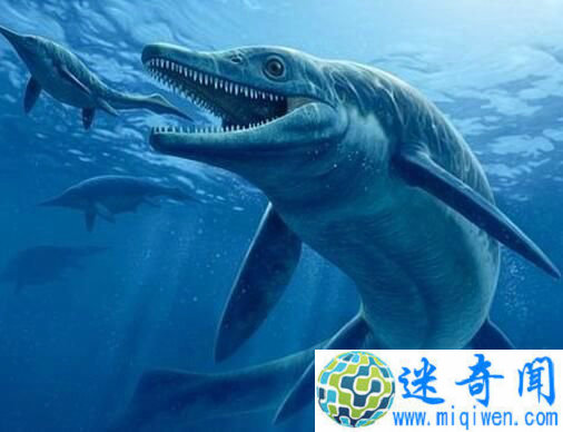 考古发现十四世纪毒戒指 是刺杀投毒神秘利器