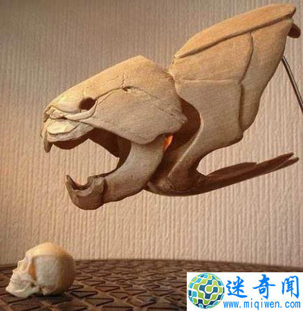 史前巨鱼
