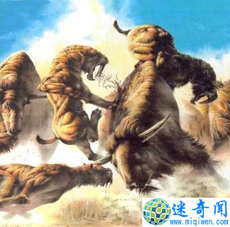 剑齿虎