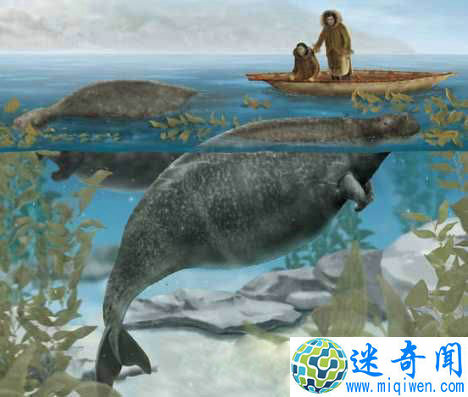 斯特拉海牛