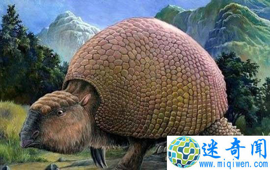ûе֮ǰ !