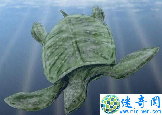 ûе֮ǰ !