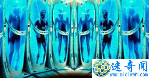 䶳ٸֻΪִľ