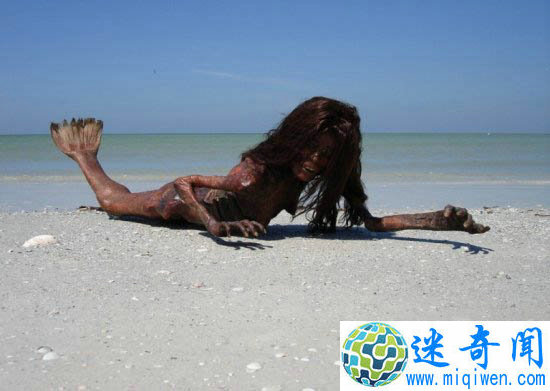 传说拍到的美人鱼照片
