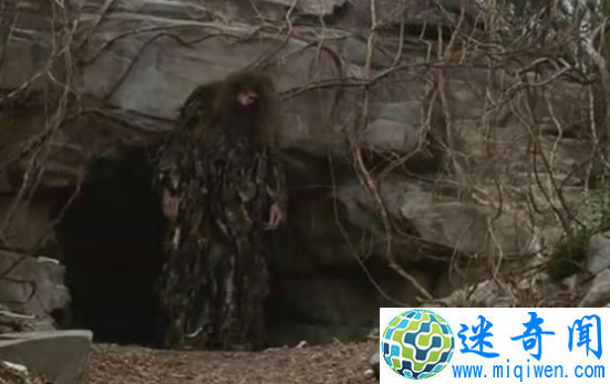 探索神农架野人之谜,神秘野人疑为野外棕熊