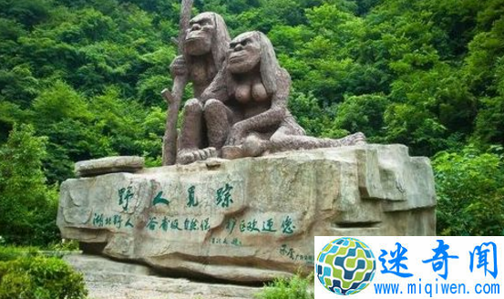 探索神农架野人之谜,神秘野人疑为野外棕熊