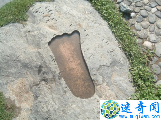 探索神农架野人之谜,神秘野人疑为野外棕熊