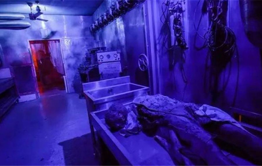 �����õ꿴��Ů�� ����ʮ�����������