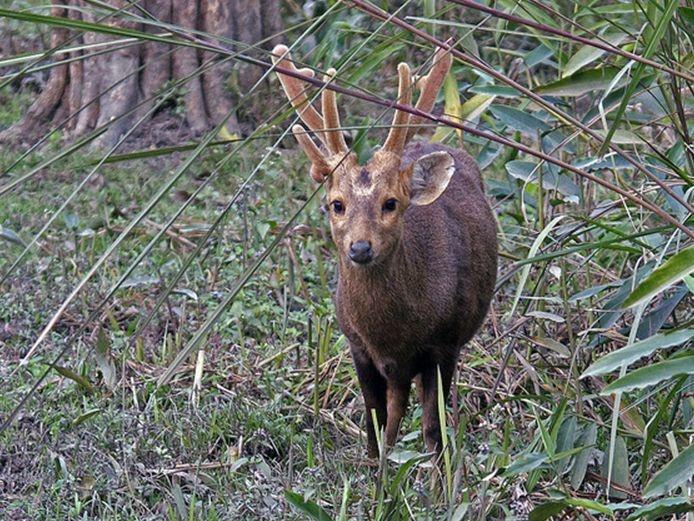 �������ʮ��ɰ����� ���������ھ����������