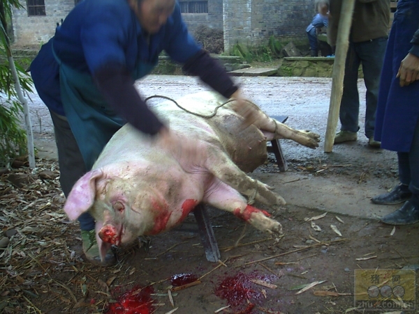 ����һŮ�Ӳ���ɱ���������� ��ǧ������������æ