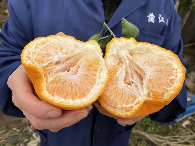 Ů������һ�����θ��ջ�ȫ��������� һ����һ����