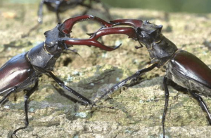  2026�꺣�ؽػ�18���׳��������Ы����ľ����