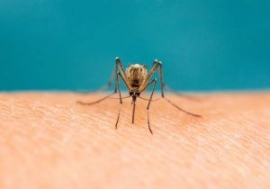 2026��������ע�������ӻ�ӭ����ʷʫ����ǿ��