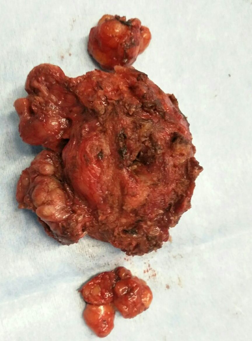 ��ѧ������5����������������������