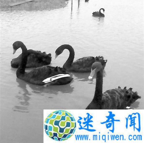 ̰Դ幫԰͵¾ƹ챯Ѱ“”ͼ