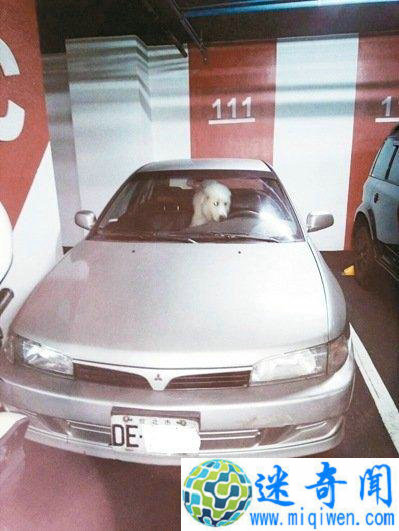 ȥ Сڳϱ15000̨