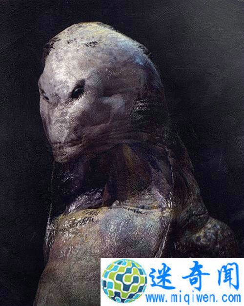 @cľcճĤƤӣЏ͹Lζ 