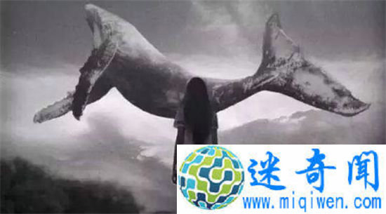 ������Ϸ50������к����� ��ƽ̨��ɱ����������Ϸ