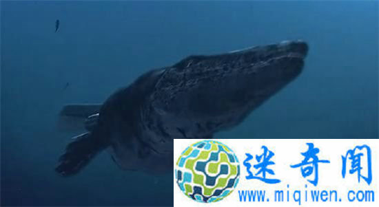 �̩̹ ����һ����������ĺ������