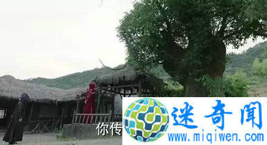 ����ǵ��Ӿ����ع� ���������������ǣ��³��������ع�