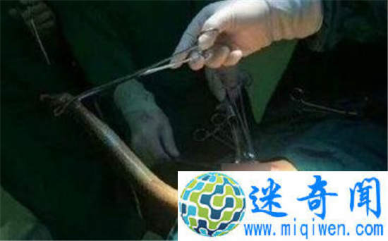 ������Ů������������Ǯ��Ұս��Ů�������ϴ�ү����žžž