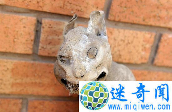 ���ӷ���ľ����è 30��ǰ�ĸ�ʬ��������