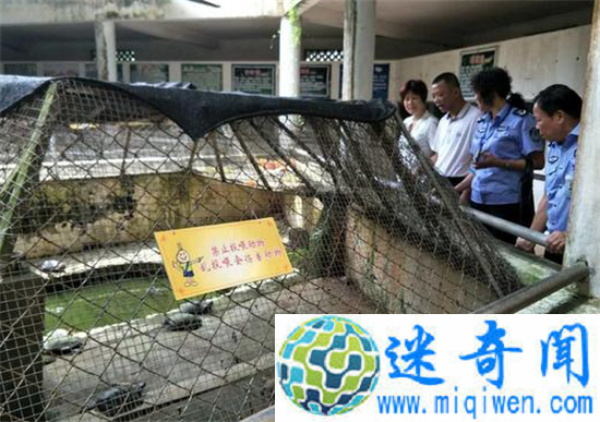 海口动物园成炼狱 动物变死尸太恐怖