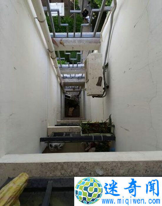 上海宝山发生坠楼女子当场身亡 现场惨不忍睹