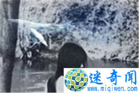 蓝鲸游戏怎么玩?俄罗斯蓝鲸游戏50指令!