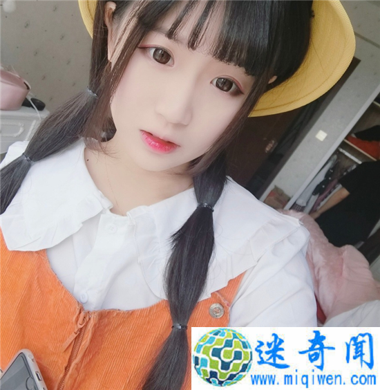 19������������ɹ����߶��и��� �������������