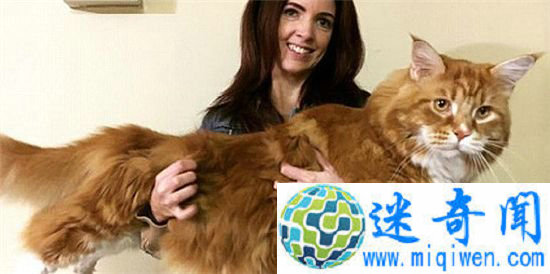 ����è�峤1��2 ���ͺ͹������Ƽ���˹��¼