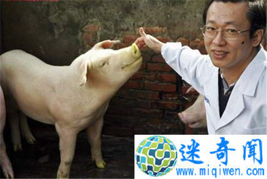 ��������ֲ��������ʵ�� �������ӡ��������ܳ��棡