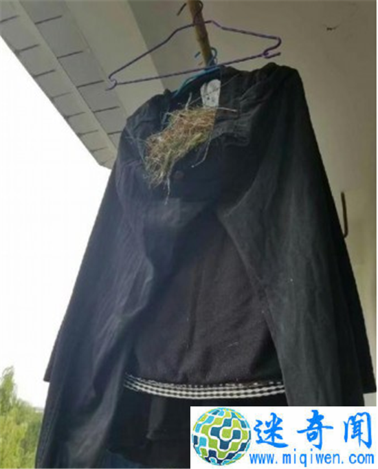 �����·��������µ� ���ѵ�С����������·��ɣ�