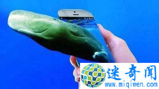 蓝鲸游戏女性参与者被裸照威胁 网友这和裸贷一个套路?