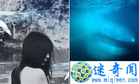 蓝鲸游戏女性参与者被裸照威胁 网友这和裸贷一个套路?