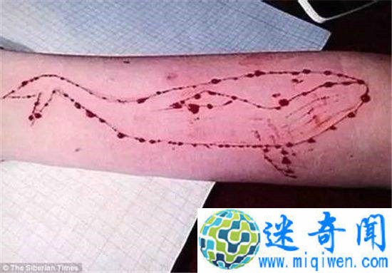 蓝鲸游戏疑传入云南彝良 蓝鲸游戏如何诱人自杀?