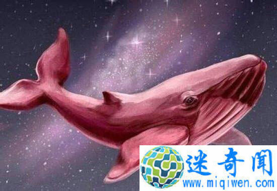 ۾ϷʲôϷ50ָ۾Ϸʲô