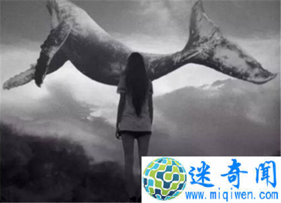 蓝鲸发明者终入狱 蓝鲸组织遭破解粉色蓝鲸游戏问世