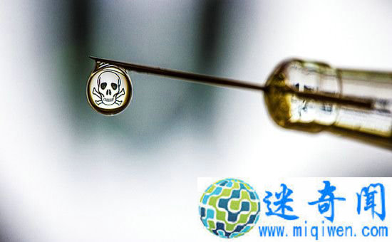 ���������������Σ������������