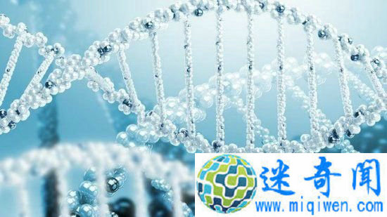 ����Σ������ѧ�Ҿ�Ȼ������Ļ�������������