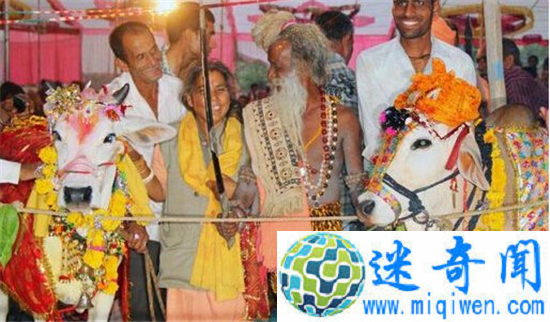 ������ţһҹ�� ĸţ���л�ǰ����ʬ����