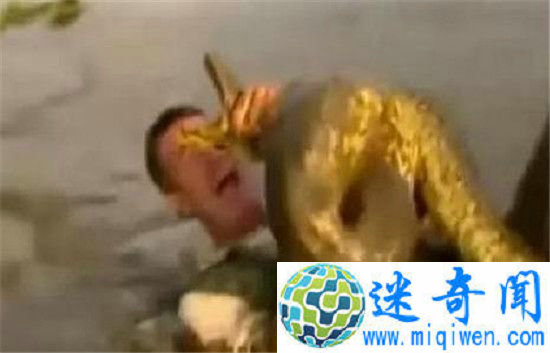 ���ӱ�����ҧס������ �����������