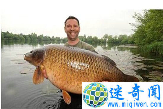 美国鲤鱼成灾 向中国寻求解决之道