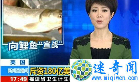 美国鲤鱼成灾 向中国寻求解决之道