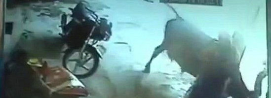 Ů�����������׵��̴�����ĸţ��Ȼ�������