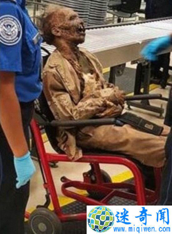 ��ʬ���˿͡������� ������ڻ�����̫�õĽ����