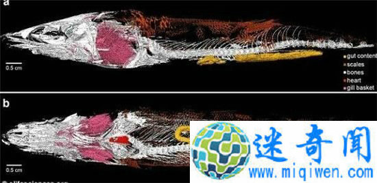 ��������໯ʯ����������һ����ǰ��