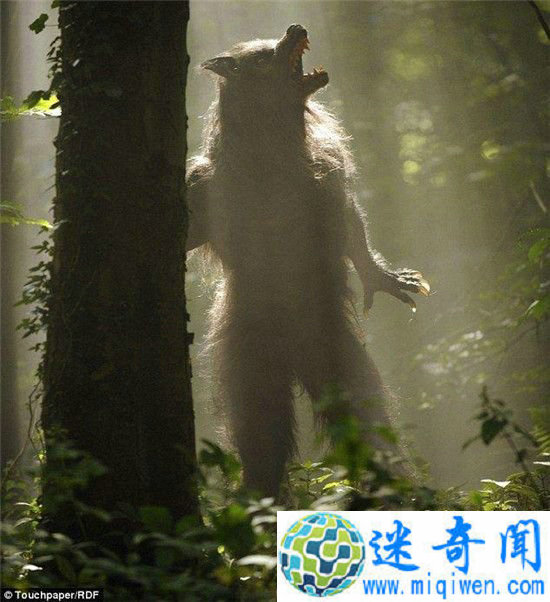 Ӣ���������� �ڳ�������ʬ��ԣ�